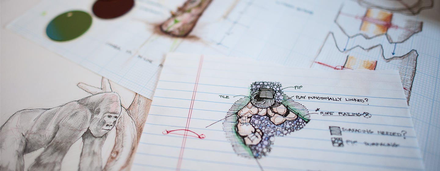 Cluster of notebook paper with colorful hand draw sketches of future playground designs.